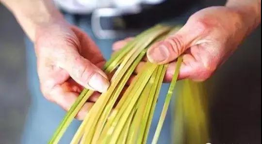 竹子加工設(shè)備 竹子加工設(shè)備